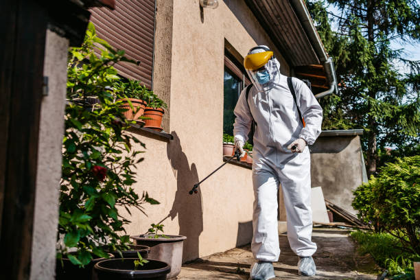Best Emergency Pest Control  in Four Corners, MT
