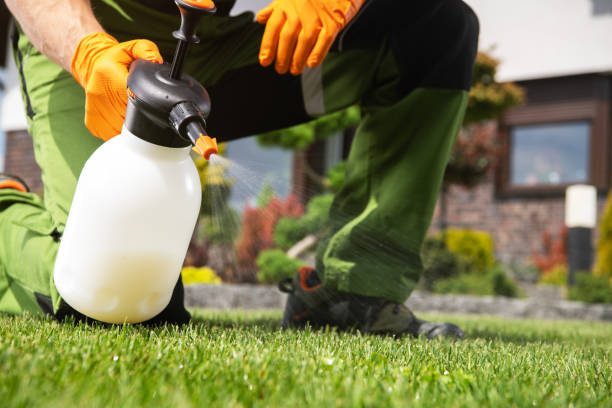 Best Wildlife Control Services  in Four Corners, MT