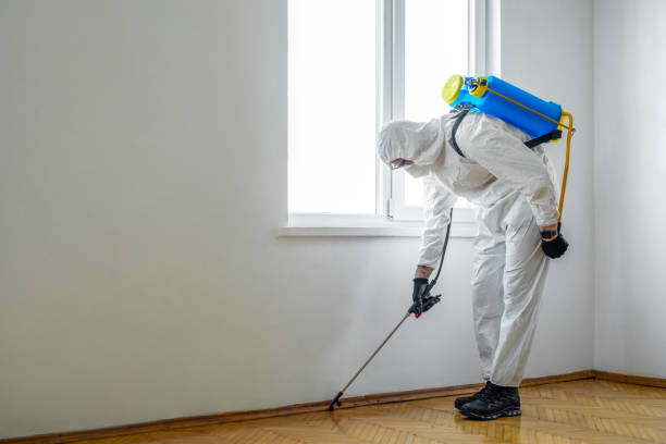 Reliable Four Corners, MT Pest Control Solutions