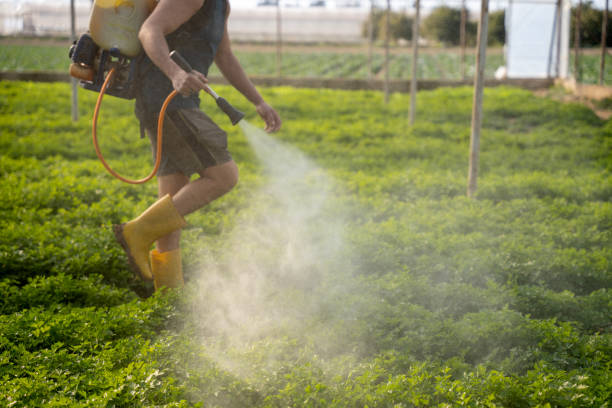 Best Pest Removal Services  in Four Corners, MT