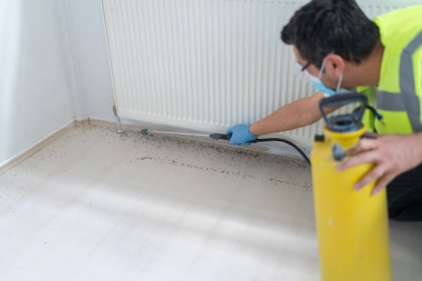 Best Cockroach Control Services  in Four Corners, MT