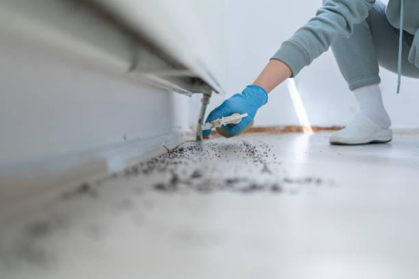 Best Pest Prevention Services  in Four Corners, MT